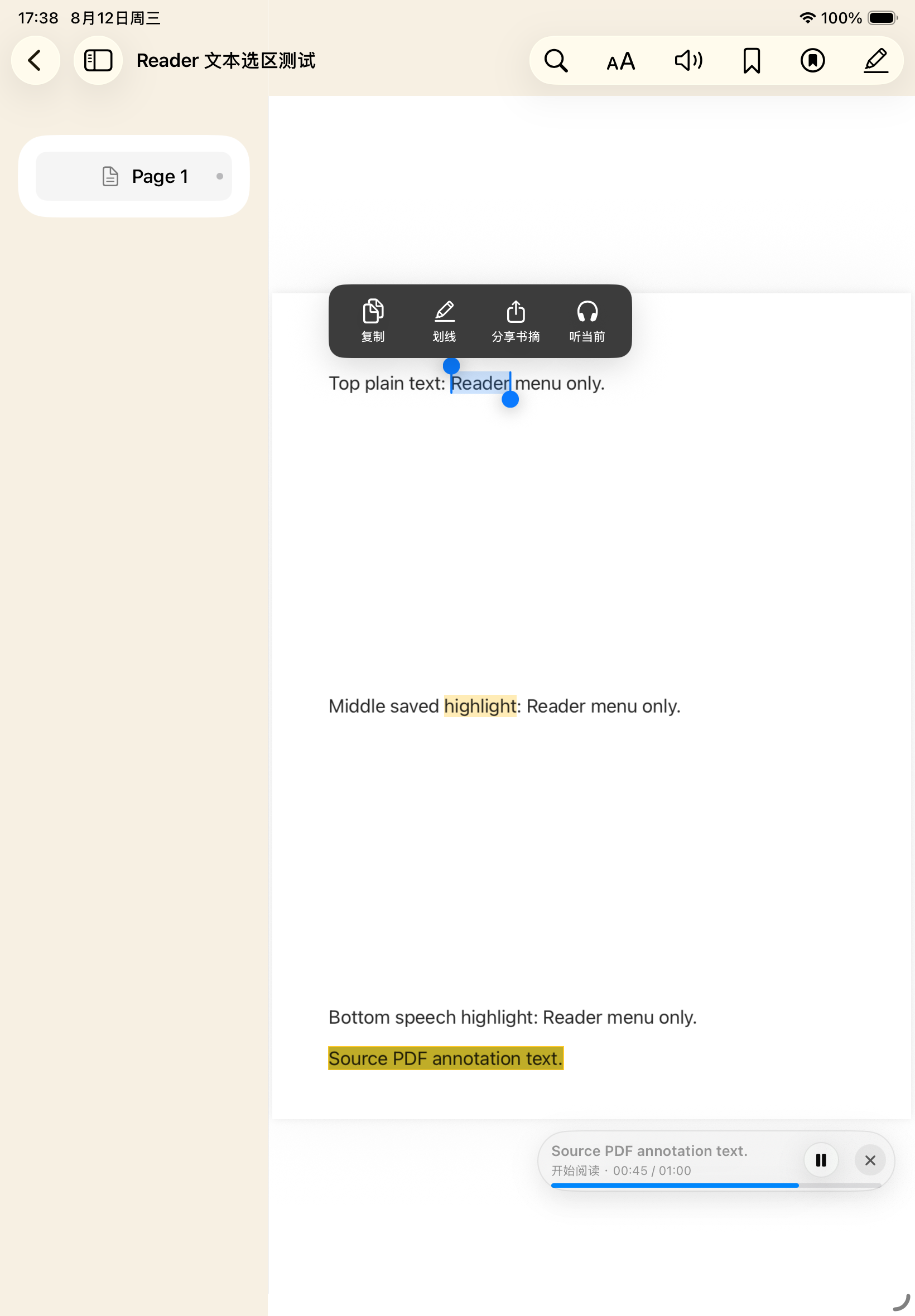 VoxArk displaying a book on iPad